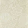 Cantaloupe 216760